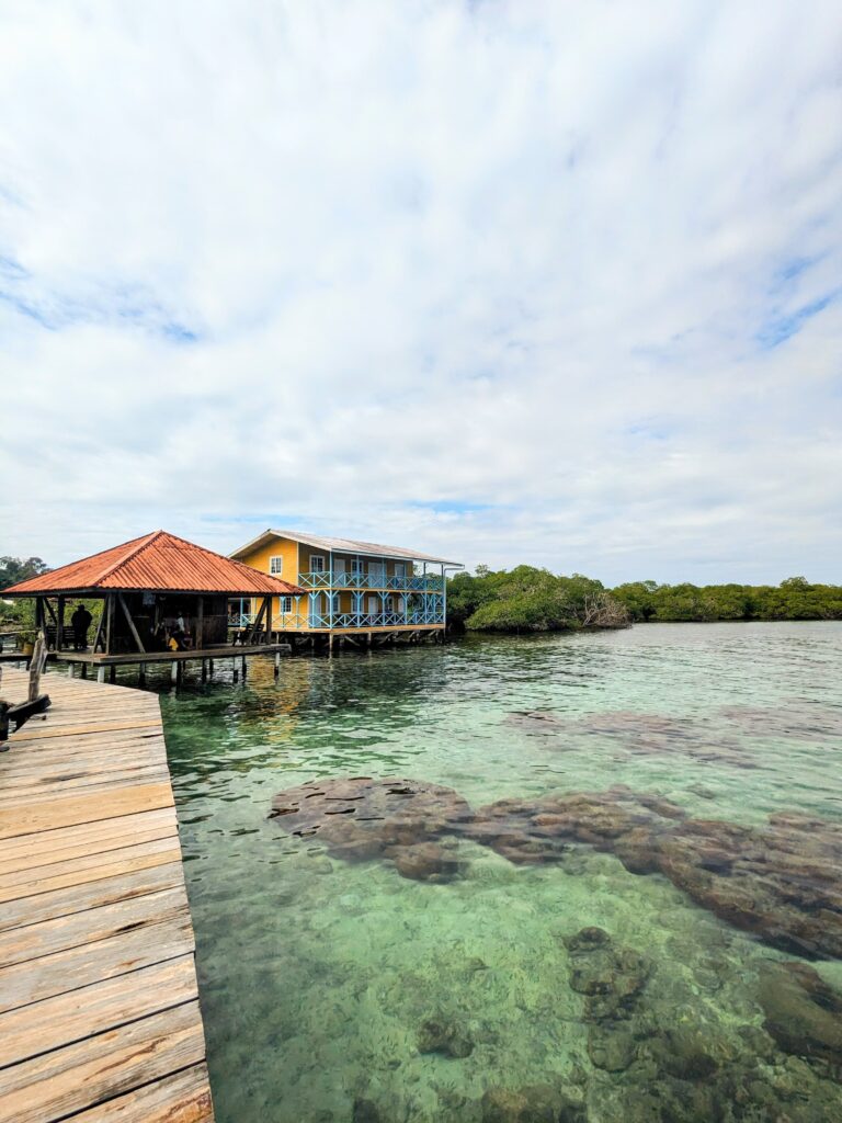 bocas del toro