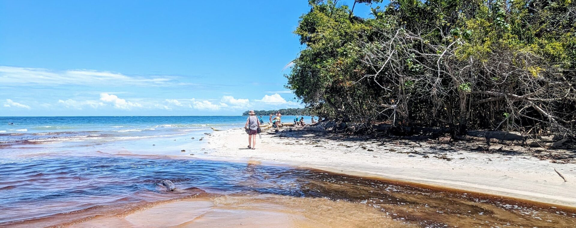 cahuita national park