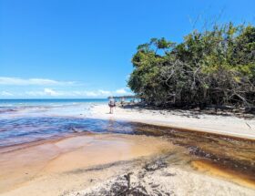 cahuita national park