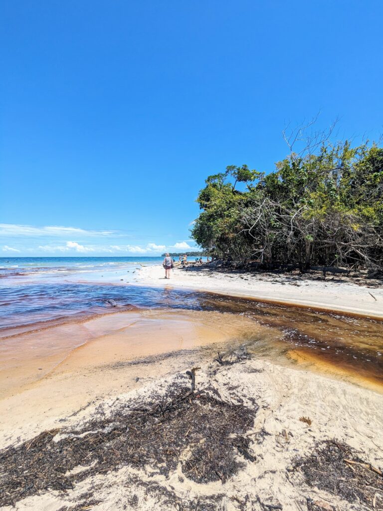 cahuita national park