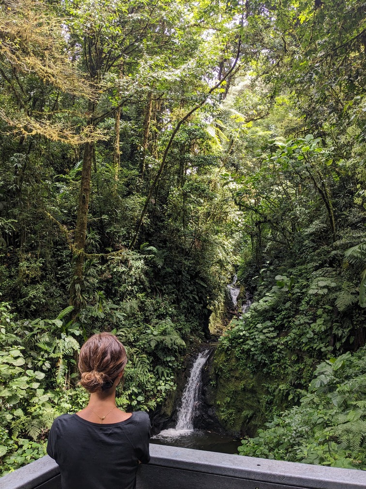 personne cascade monteverde