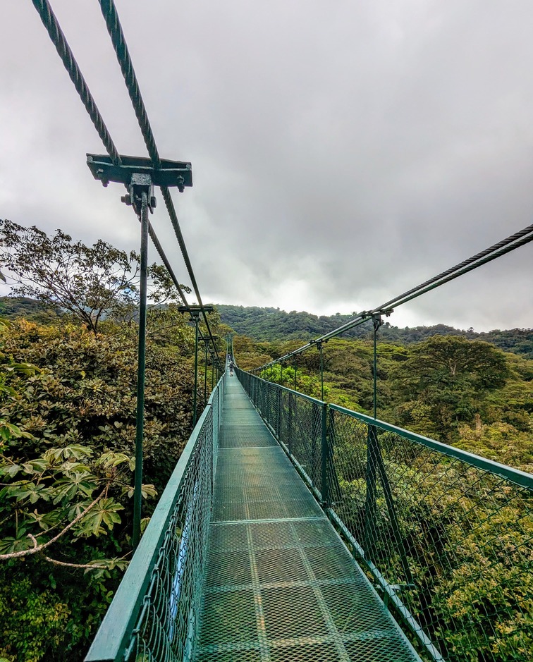 pont suspendu monteverde