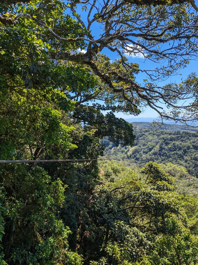 zipline monteverde